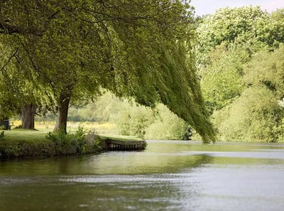 The Runnymede Pleasure Grounds